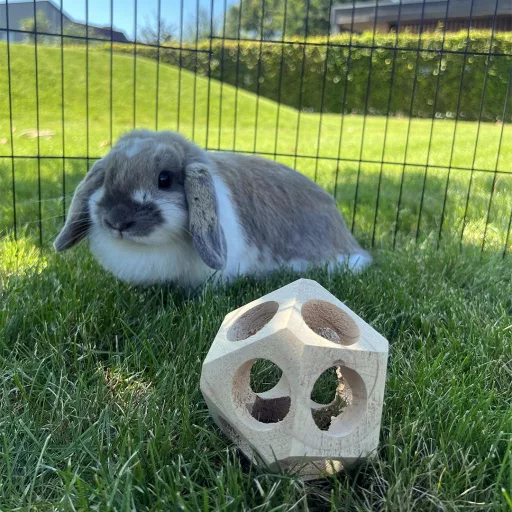 DUVO+ Fa játéklabda 10 cm