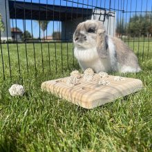 DUVO+ HAO Fából készült kirakó fűzfagolyókkal nyulaknak 9,7x19,7x2,5cm