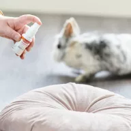   Beaphar RabbitComfort® nyugtató hatású feromonos spray nyulaknak 30ml