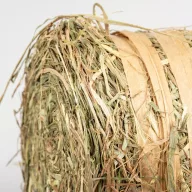 DUVO+ Natúr szénabála 150g