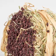 DUVO+ Céklás szénaburger 75g