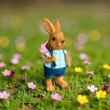 NYUSZISHOP.HU - Barna fiú nyuszi kék ruhában