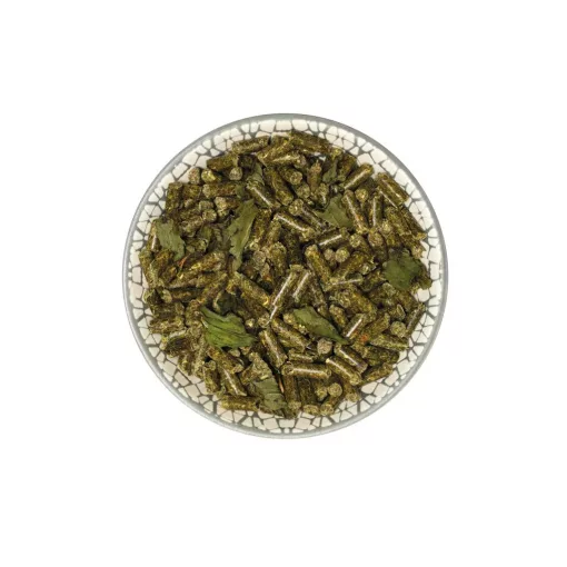 bunnyNature GuineaPigDream BASIC 600 g