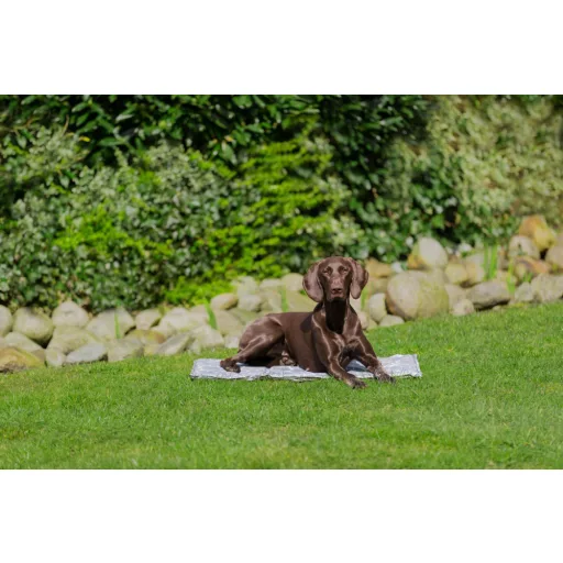 Trixie 28785 Puha Hűtőszőnyeg M 50x40 cm (szürke)
