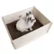 bunnyNature bunnyInteractive DiggingBox