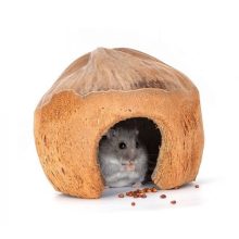 Nobleza kókuszház hörcsögöknek