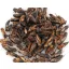 Trópus Dried Cricket - Szárított tücsök 40 g