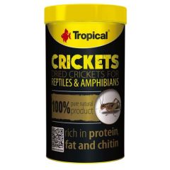   TROPICAL Crickets szárított tücsök hüllőknek/sünöknek 100 ml/10 g