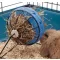 SAVIC Bunny Toy Hay and Snack Feeder - széna és snack etető (Ø16cm)