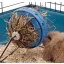 SAVIC Bunny Toy Hay and Snack Feeder - széna és snack etető (Ø16cm)