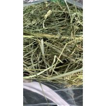 Alföldi széna - Kádár Dani 3 kg