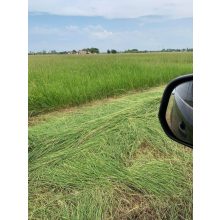 Alföldi széna - Kádár Dani 3 kg