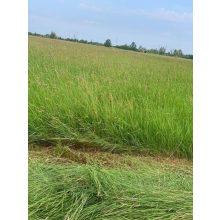 Alföldi széna - Kádár Dani 3 kg