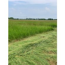 Alföldi széna - Kádár Dani 3 kg