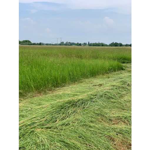 Alföldi széna - Kádár Dani 3 kg