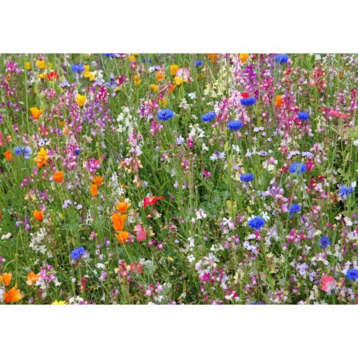 BudaPet Reform Chinchilla táp 1L