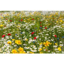 BudaPet Reform nyúltáp 1L