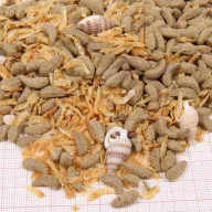   JBL PROTERRA Molluscus - kiegészítő eleség (csigák,gammarus, vízi rovarok) 250ml/60g