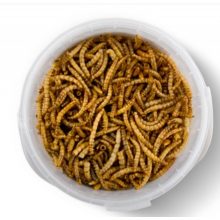 JK Animals Szárított BIO lisztkukac 80g