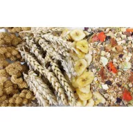 JR Farm Teljes értékű egér eledel (adult) 500g