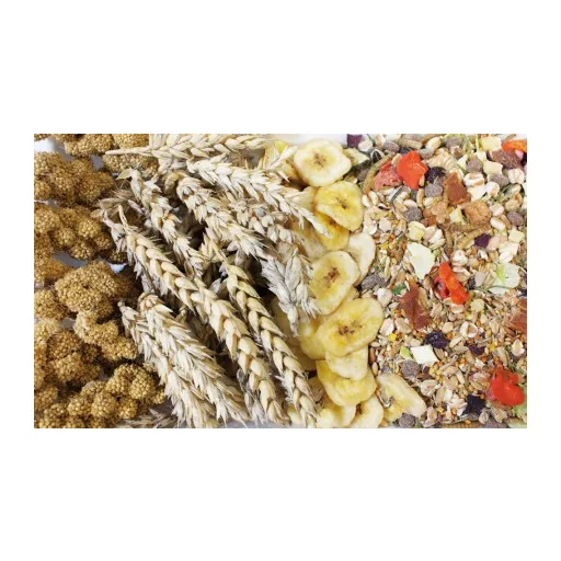 JR Farm Teljes értékű egér eledel (adult) 500g