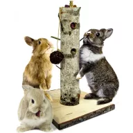   JR Farm Small Animal "BtI" Nature Active-Tree/ Aktív fa