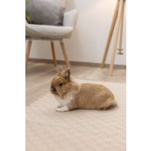 KERBL Mosható alomszőnyeg 200 x 120 cm