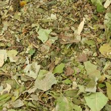 Mr. Crumble – Erdei levél MIX 250g