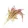 Mr. Crumble – Amaránt csokor 100g