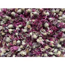 NYUSZISHOP - Vörös Búzavirág 100g