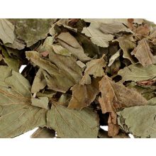 NYUSZISHOP - Mogyorófa levél 100g