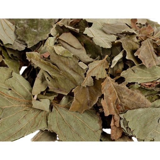 NYUSZISHOP - Mogyorófa levél 100g