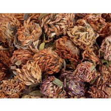 NYUSZISHOP - Vörös lóhere 100g