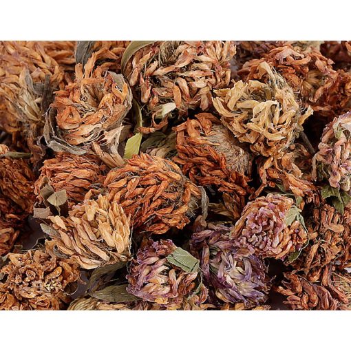 NYUSZISHOP - Vörös lóhere 100g