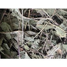 NYUSZISHOP - Kasviráglevél (Echinacea) 250g