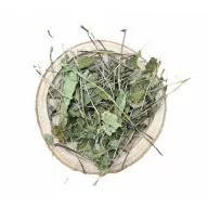 NYUSZISHOP - Kasviráglevél (Echinacea) 100g