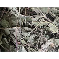 NYUSZISHOP - Kasviráglevél (Echinacea) 100g