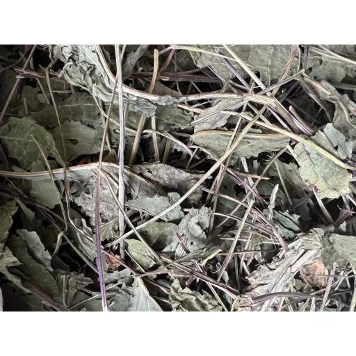 NYUSZISHOP - Kasviráglevél (Echinacea) 100g