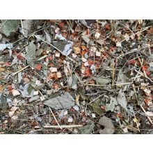 NYUSZISHOP - Őszi szüret 100g