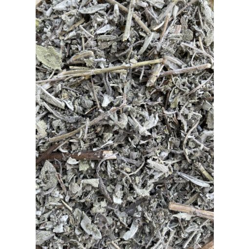 NYUSZISHOP - Orvosi zsálya 100g