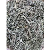 NYUSZISHOP - Mezei zsurló 50g