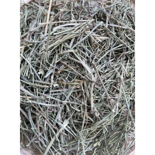 NYUSZISHOP - Mezei zsurló 50g
