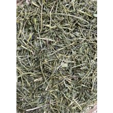 NYUSZISHOP - Petrezselyem 100g