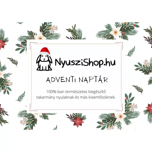 NYUSZISHOP - Adventi naptár kisállatoknak