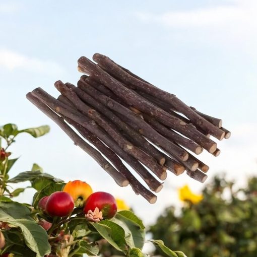 NYUSZISHOP.HU - Almafa pálcikák 50g