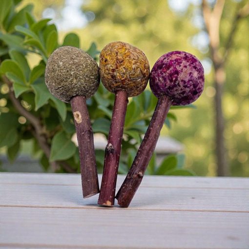 NYUSZISHOP.HU - Széna nyalóka - KÖRÖMVIRÁGOS 10 cm