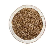 NYUSZISHOP.HU - Lisztkukac 100g