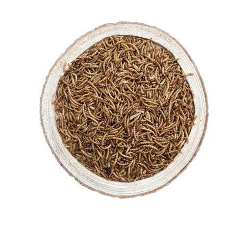 NYUSZISHOP.HU - Lisztkukac konzerv 40g