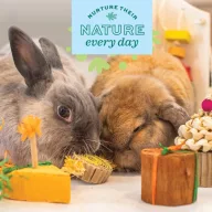 Oxbow Enriched Life Birthday Party Pack