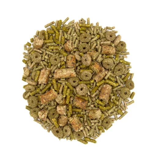 Oxbow Forage Wise Adult Guinea Pig 1,81 kg - Teljes értékű felnőtt tengerimalac táp